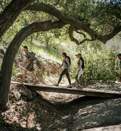 hiking group crossing bridge