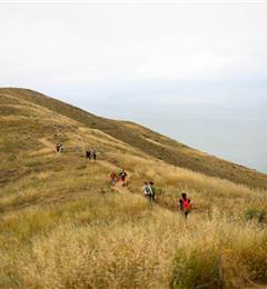 Group hiking along coast