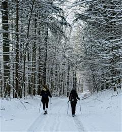 Hiking, Snowshoeing or Sledding