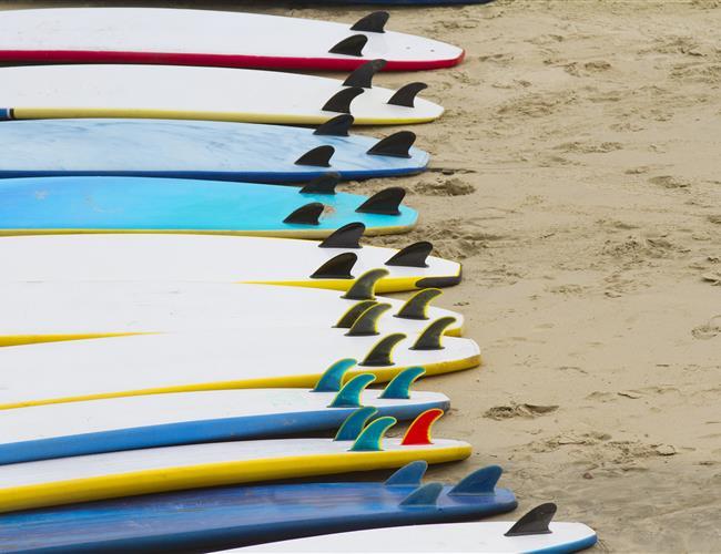 surfboards on a beach