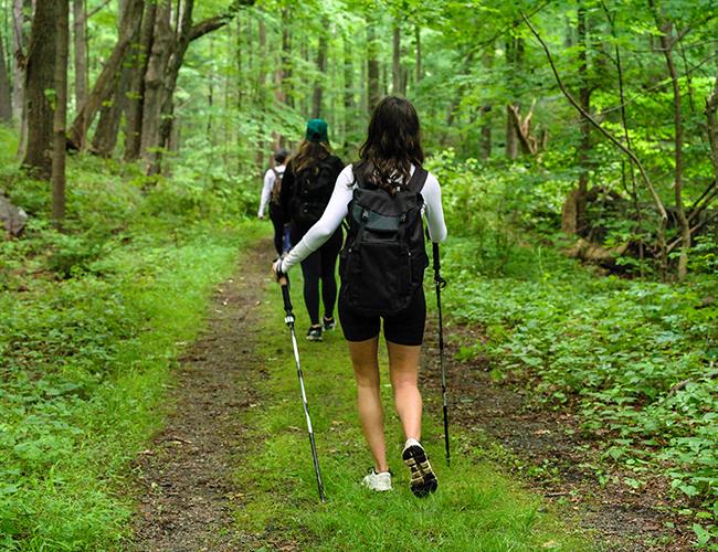 group hiking