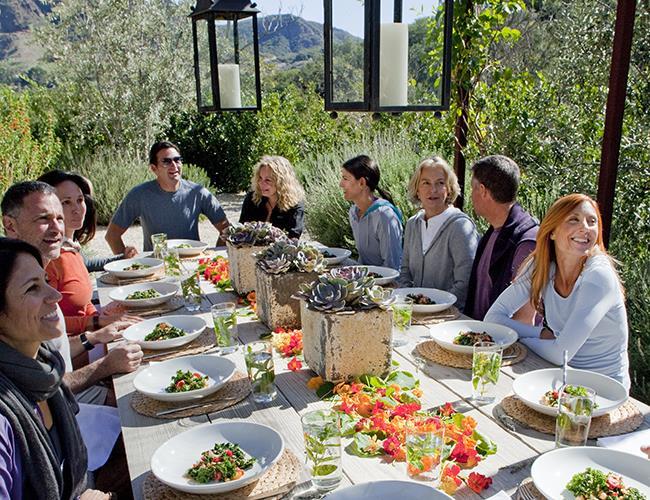 A group dining midday at a long table with succulent centerpieces