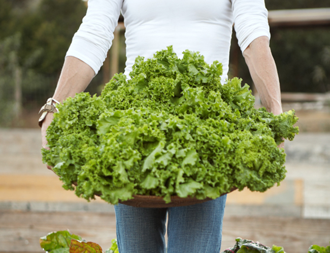 Woman carrying lettuce