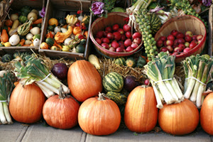 Local Farmers Markets