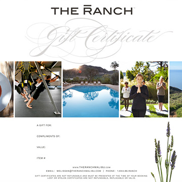 A screen shot of The Ranch website