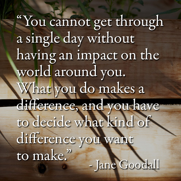 Jane Goodall Quote