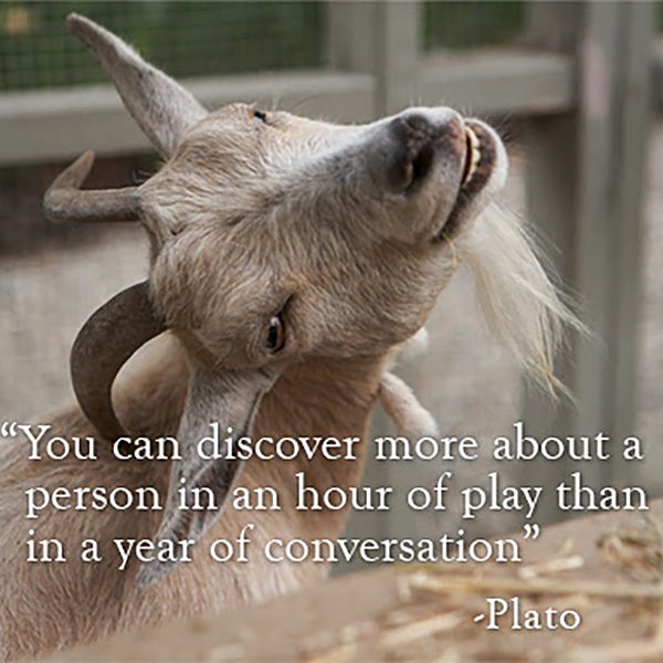 Plato