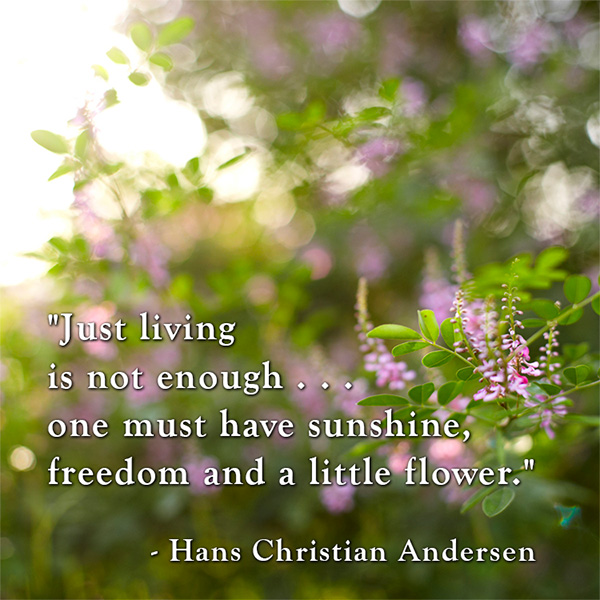 Just living is not enough... one must have sunshine, freedom and a little flower - Hans Christian Andersen