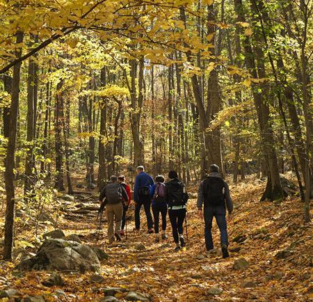 Two Women Hiking in the Fall