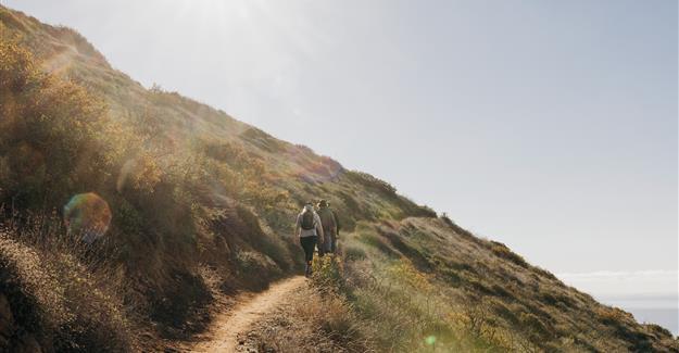 Hikers hiking on a hillside gravel path