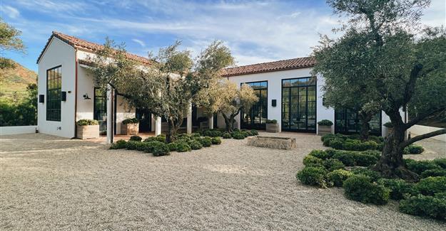 Courtyard with gravel, small trees, and shrubs in wooden boxes