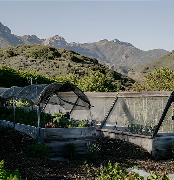sustainable garden