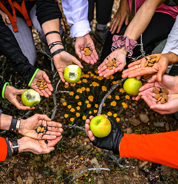 Group of hikers holding out their hands with half-eaten apples and almonds