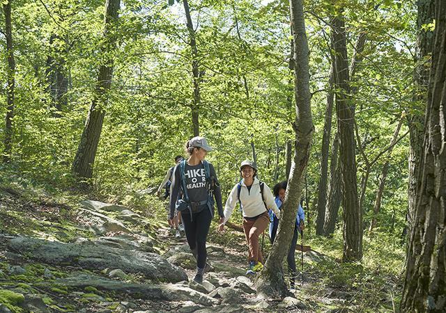 Group hike