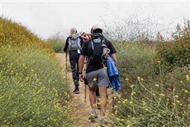 A group of hikers during midday