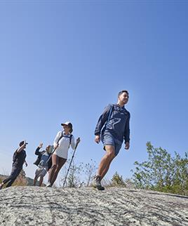 A group of hikers