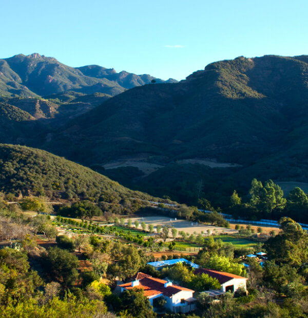 Panoramic view of the property