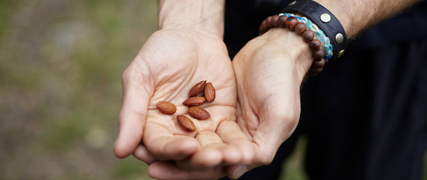 Six almonds in a person's hands