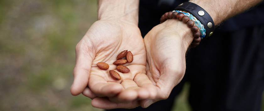 six almonds in hands