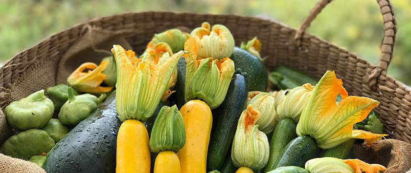 A variety of vegetables from the garden