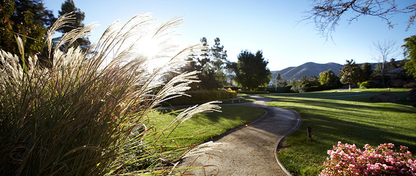 path at the ranch 