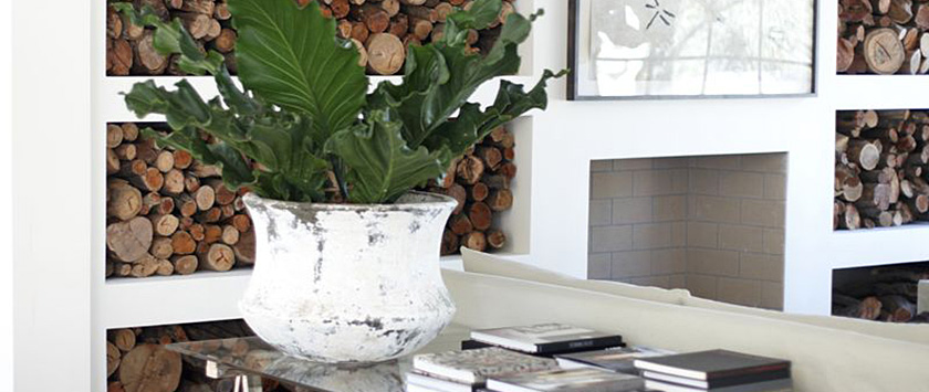 plant on desk chopped wood in background