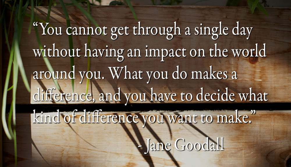 You cannot get through a single day without having an impact on the world around you...