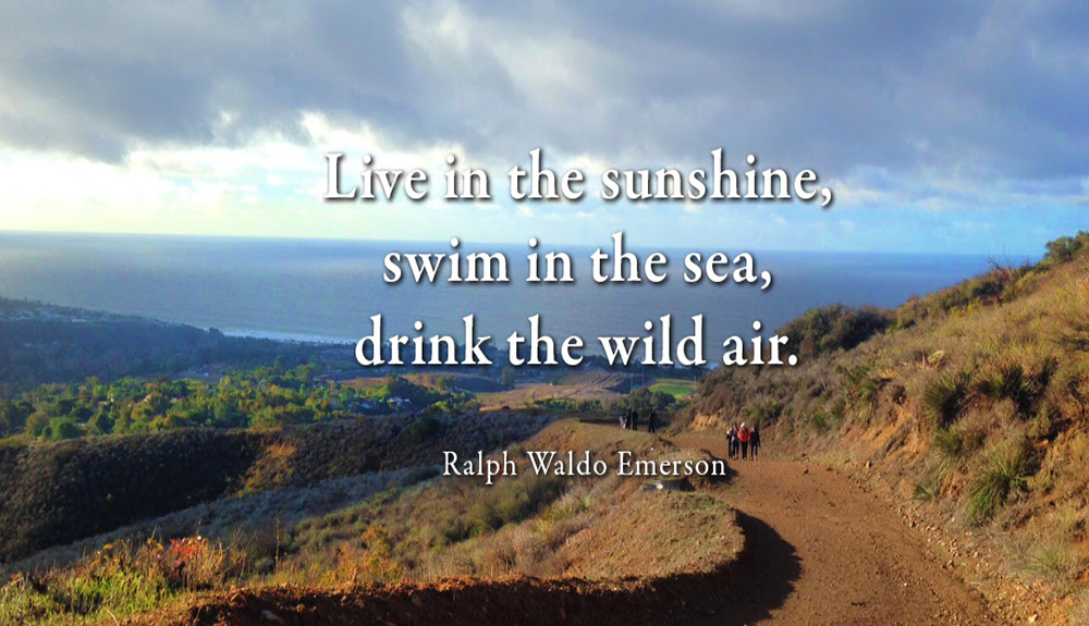 Live in the sunshine, swim in the sea, drink the wild air - Ralph Waldo Emerson