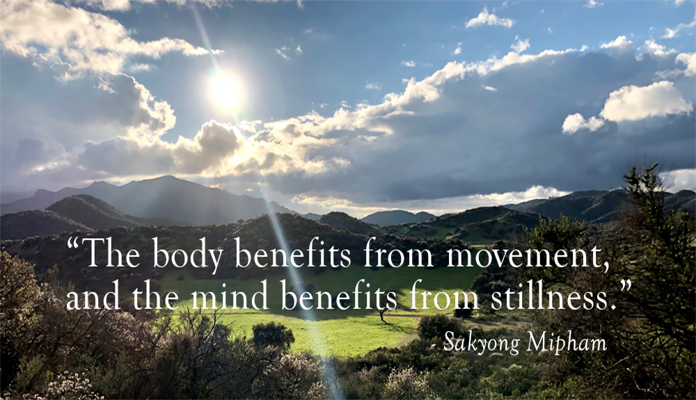 The body benefits from movement, and the mind benefits from stillness - Sakyong Mipham