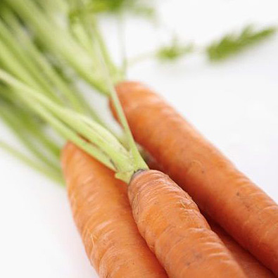 Carrot close up