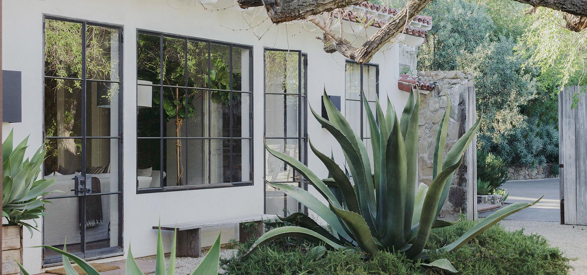 courtyard with large succulent greenery