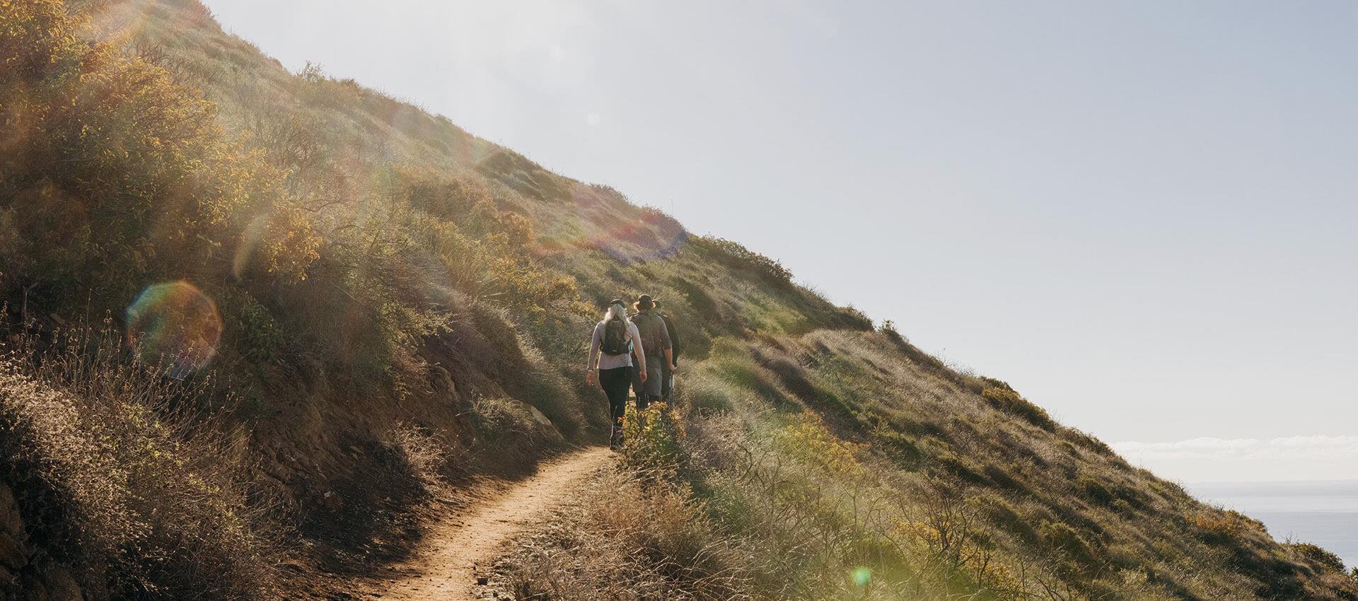 A group of hikers