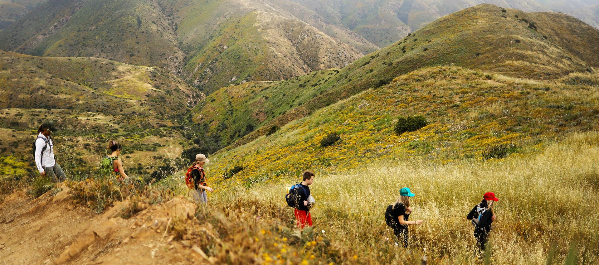 people climbing a hill