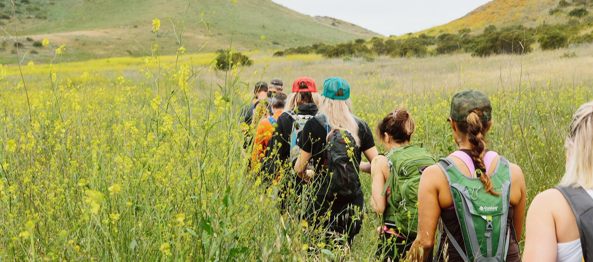 Group hiking through wildflowers on a scenic hillside trail