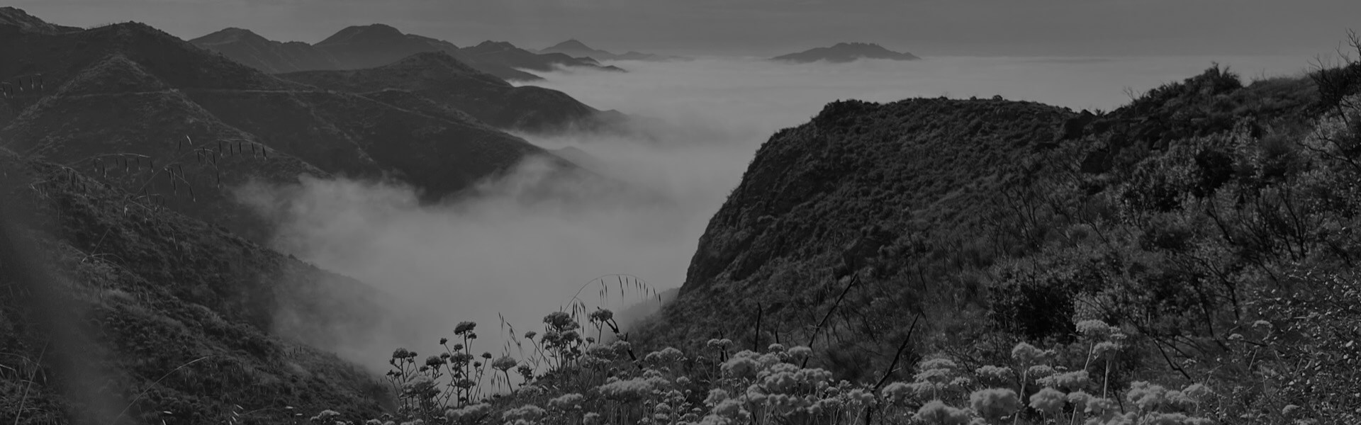 A view from above the fog